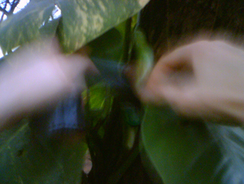 jpg0249