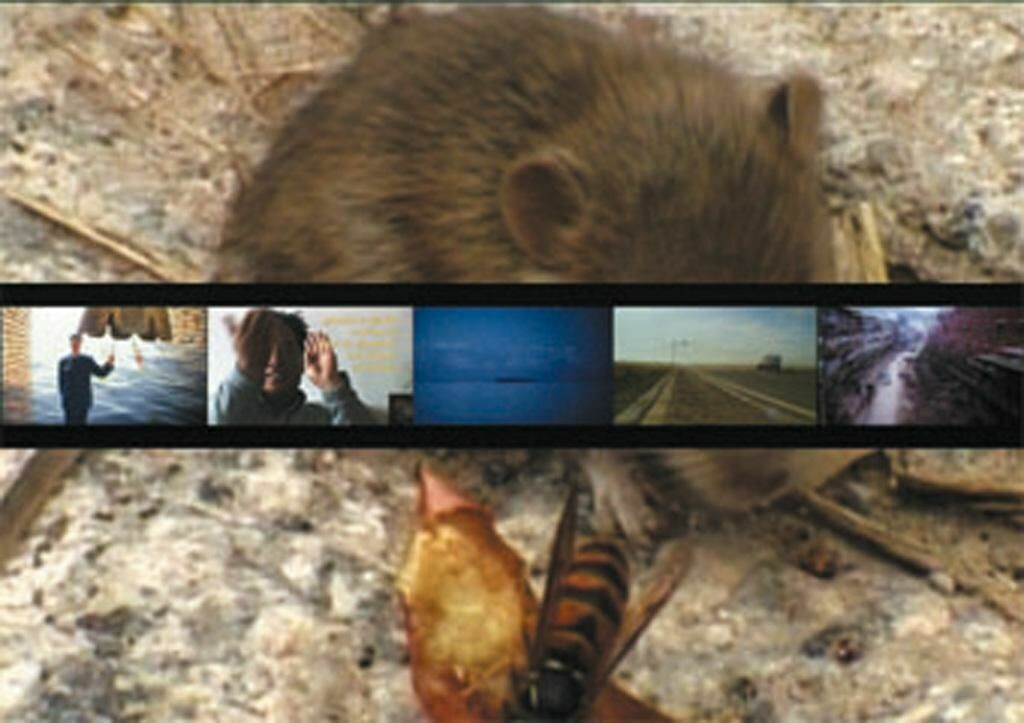 Titelbild des Projekts One Day the Mountain Will Fly Away