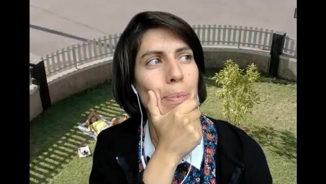 Galeriebild des Projekts Zahm