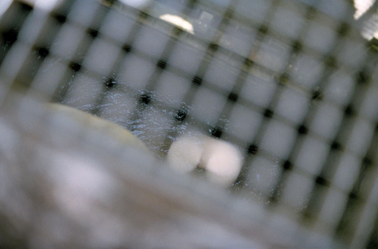 Galeriebild des Projekts It Is the Water Flowing that Makes the Sound