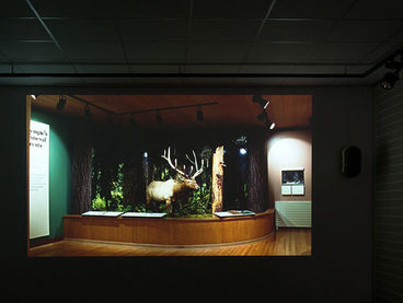 Julian Simon Pache, „human(‘)(s) (and) landscape(s)“, ; Ausstellungsparcours