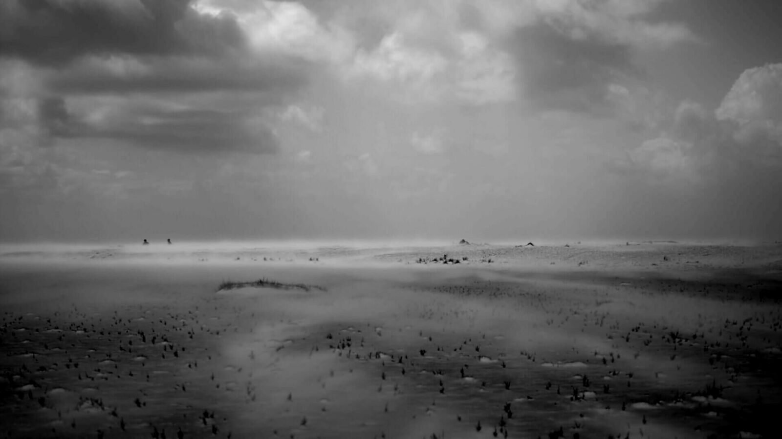 Galeriebild des Projekts Laniakea