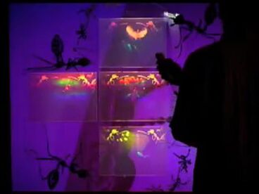 1.ant.ity Galeriebild des Projekts 1.ant.ity