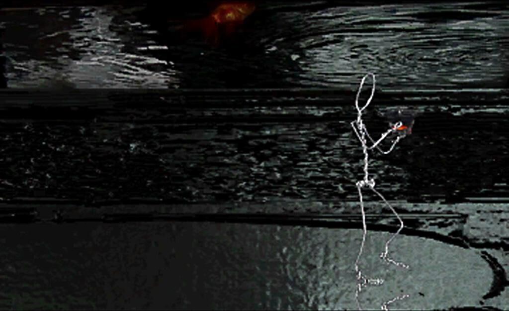 Titelbild des Projekts Circulus