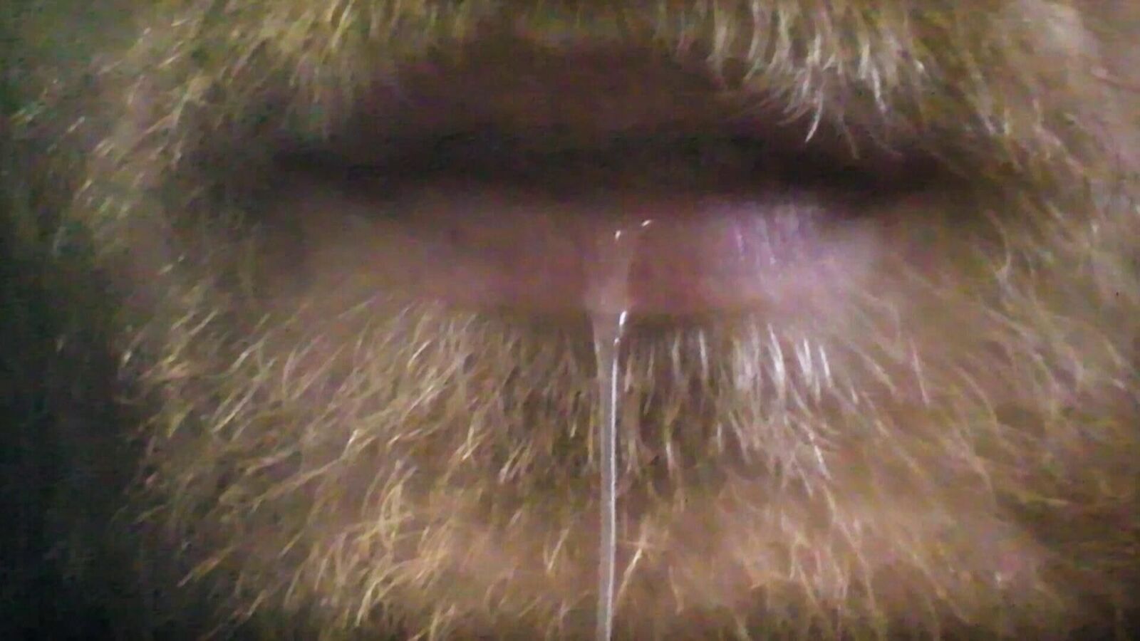 Galeriebild des Projekts Bitte nicht kotzen