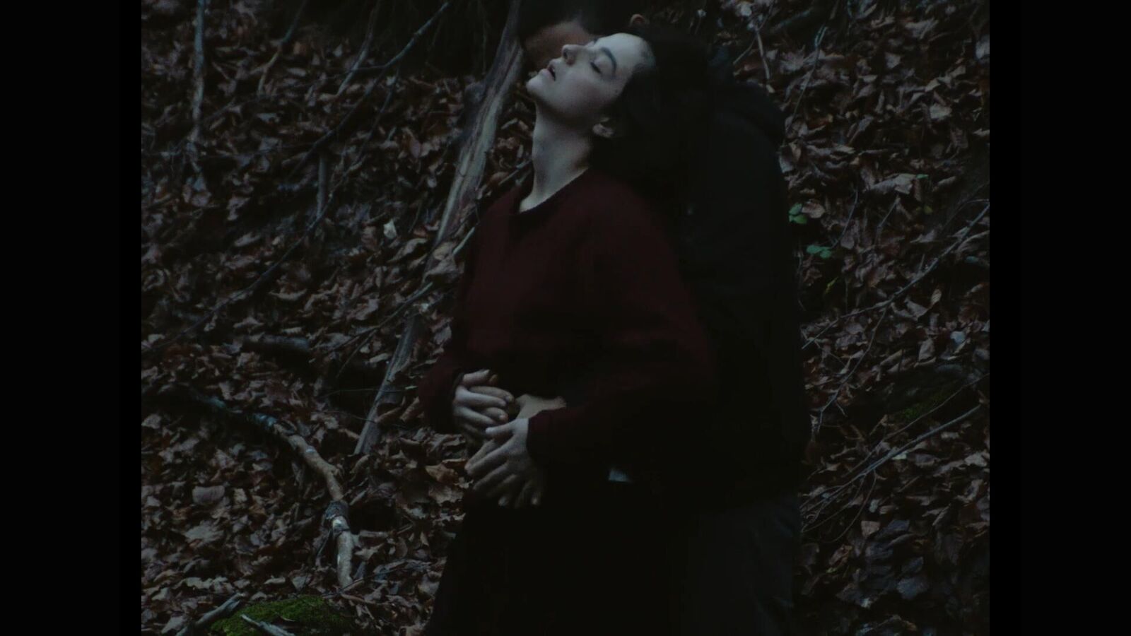 Galeriebild des Projekts On the other side of the pillow a rose was blossoming