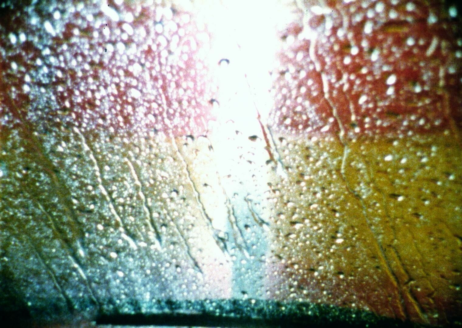 Galeriebild des Projekts I learn, get hurt, accept, strive, fight, love, cry and laugh