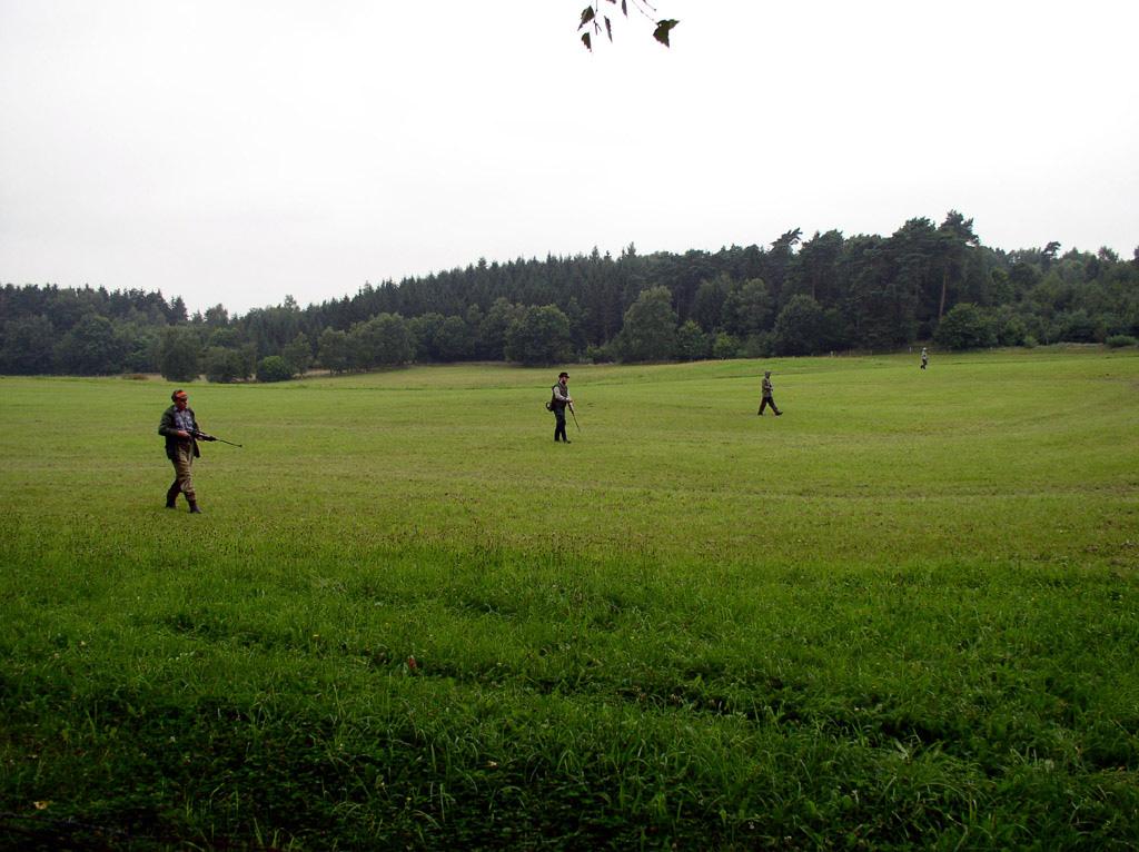 Galeriebild des Projekts Die Lichtung