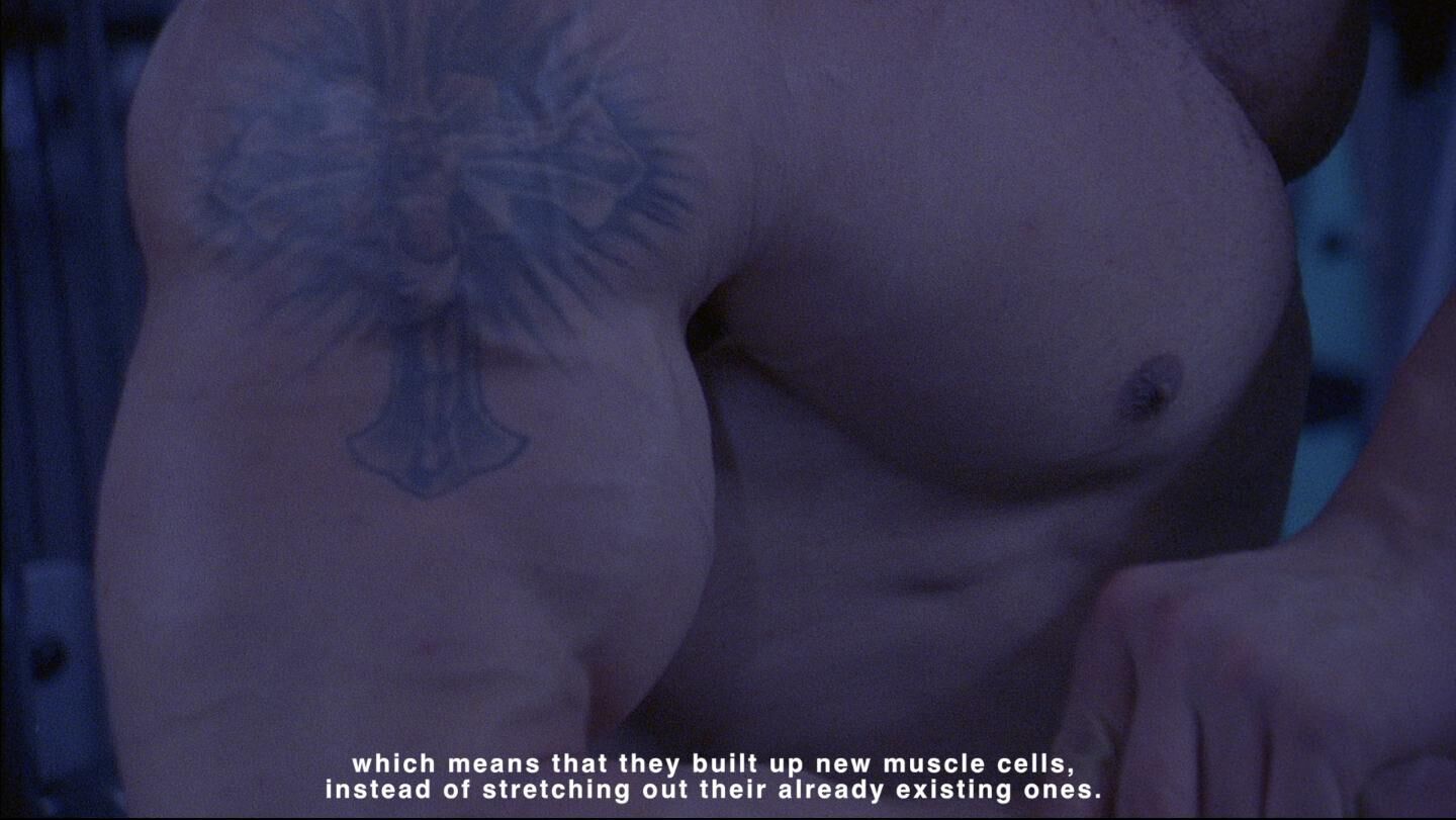 Galeriebild des Projekts Weil es Mitte März ist