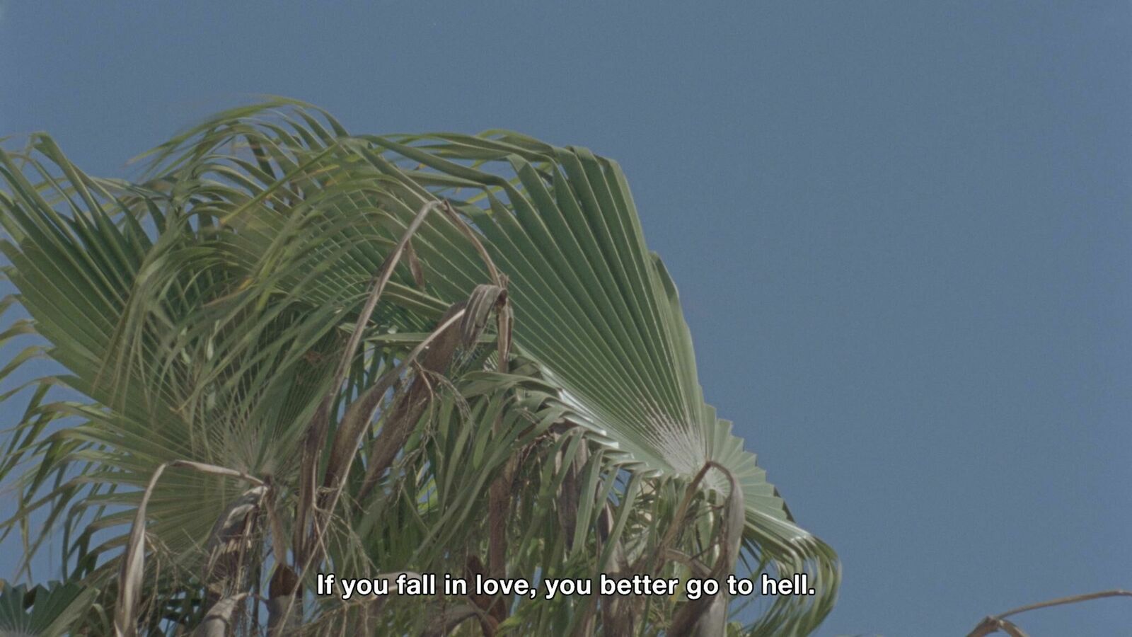 Galeriebild des Projekts Paddled Pandemic Paradise