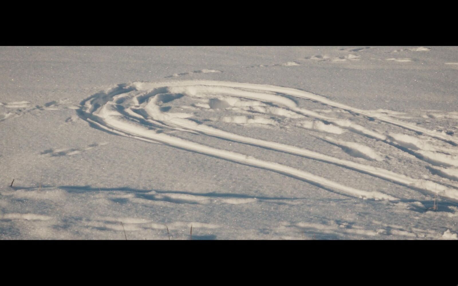 Galeriebild des Projekts Dokumentarische Miniaturen 2021