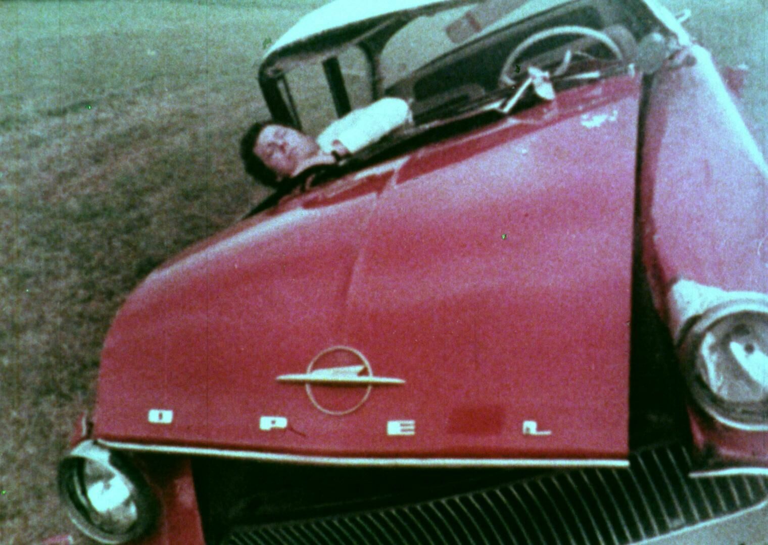 Galeriebild des Projekts I learn, get hurt, accept, strive, fight, love, cry and laugh