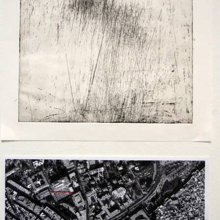 © Franziska Windisch