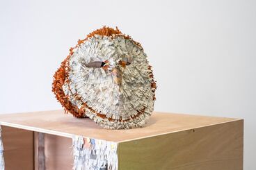 Titelbild des Projekts HumanBird