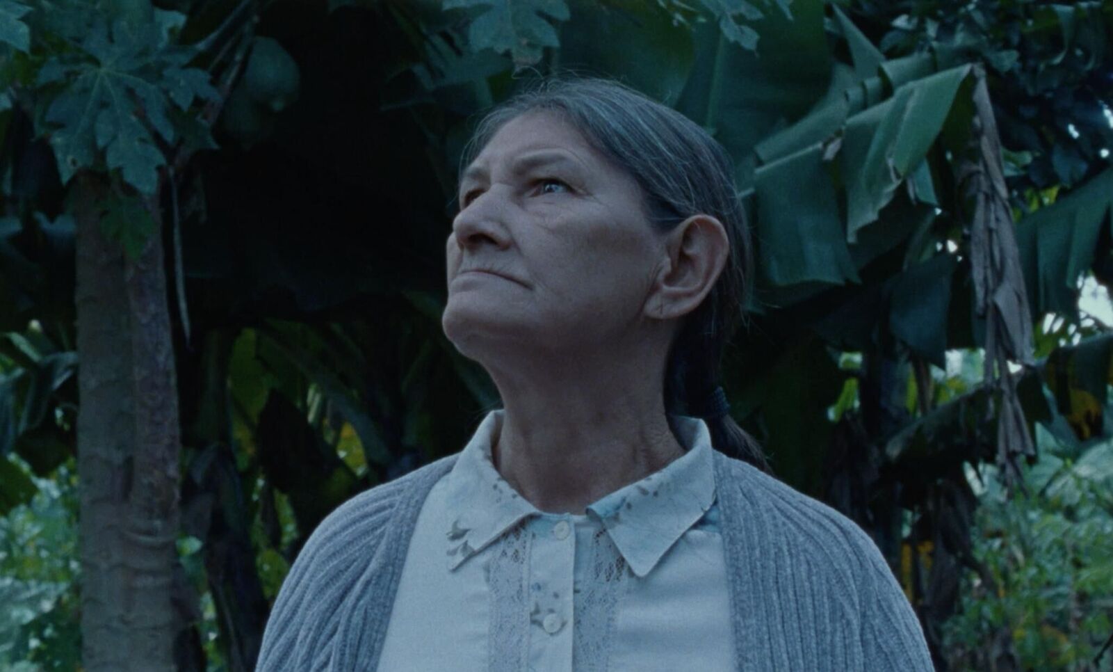 Galeriebild des Projekts Nuestra Sombra