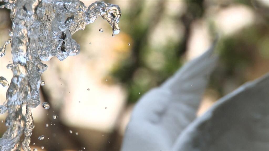 Galeriebild des Projekts Palomafuente 