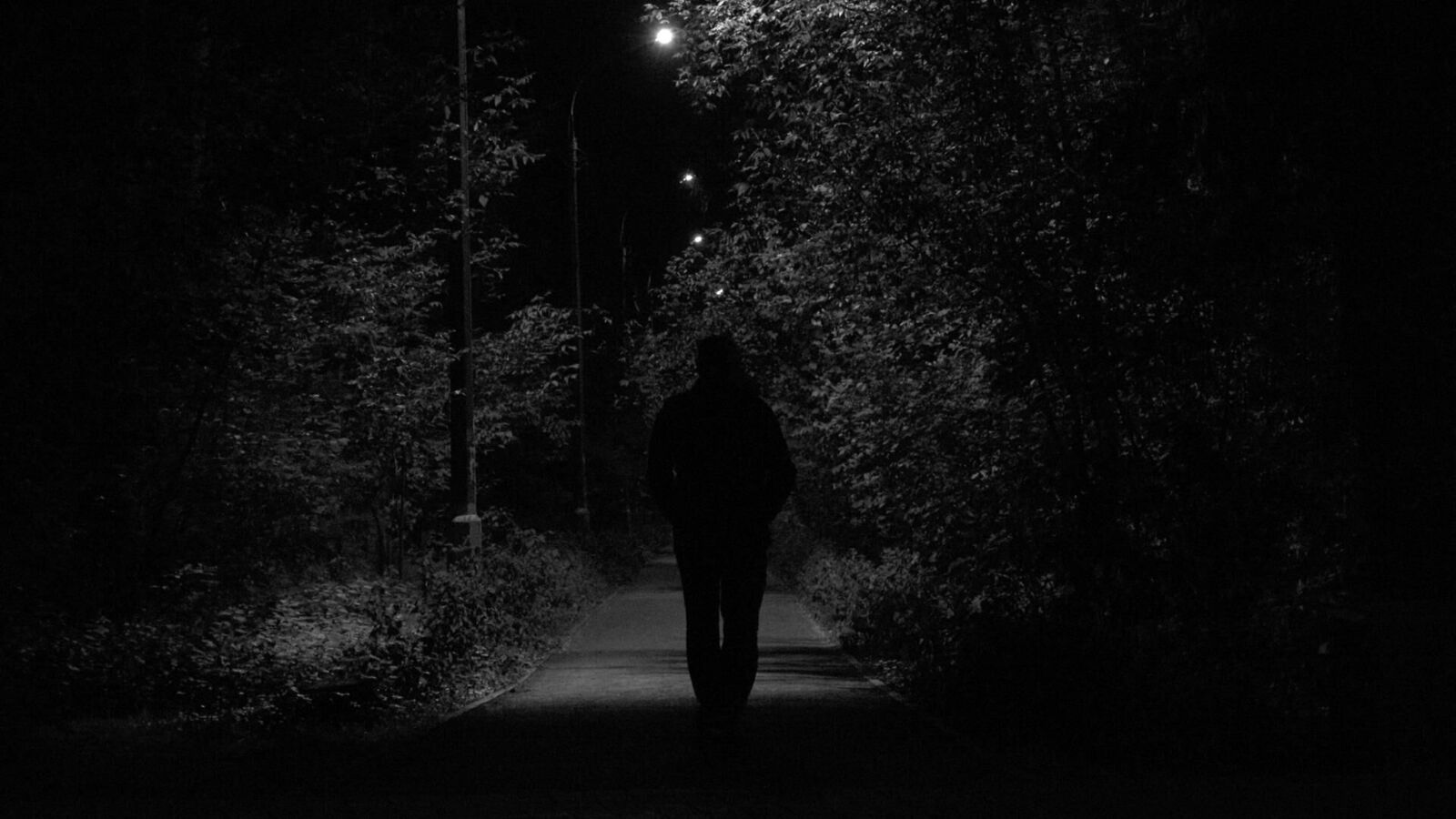 Galeriebild des Projekts Gefühle der Fliegenden