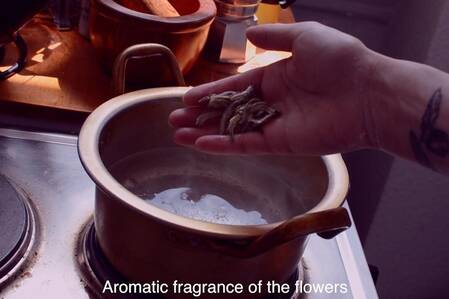 Ji Su Kang-Gatto, KHM 