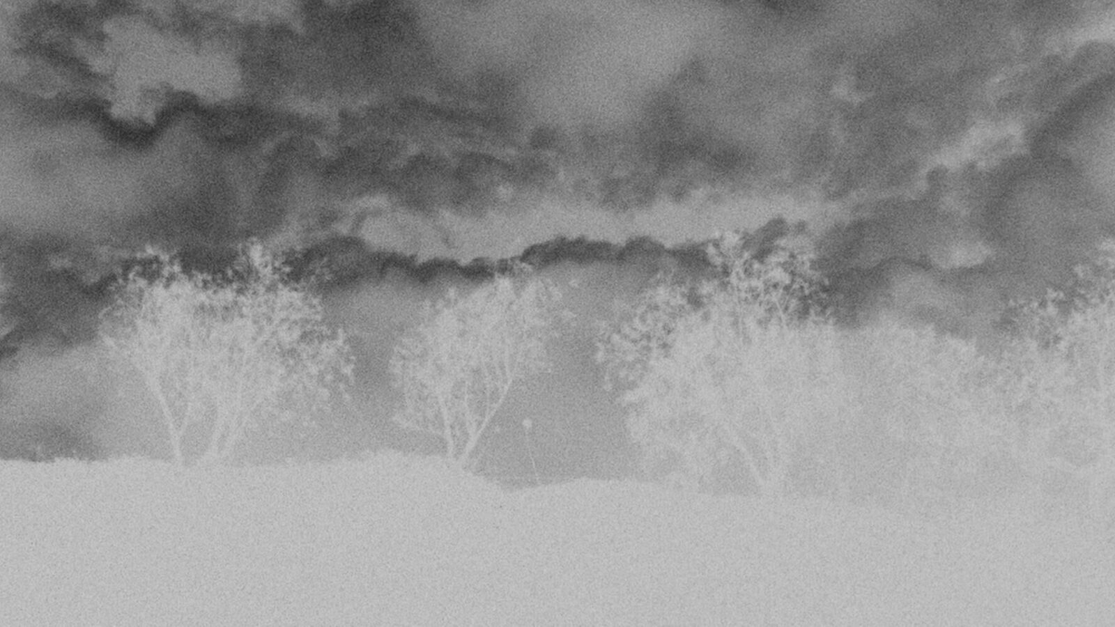 Galeriebild des Projekts In die Sonne blicken