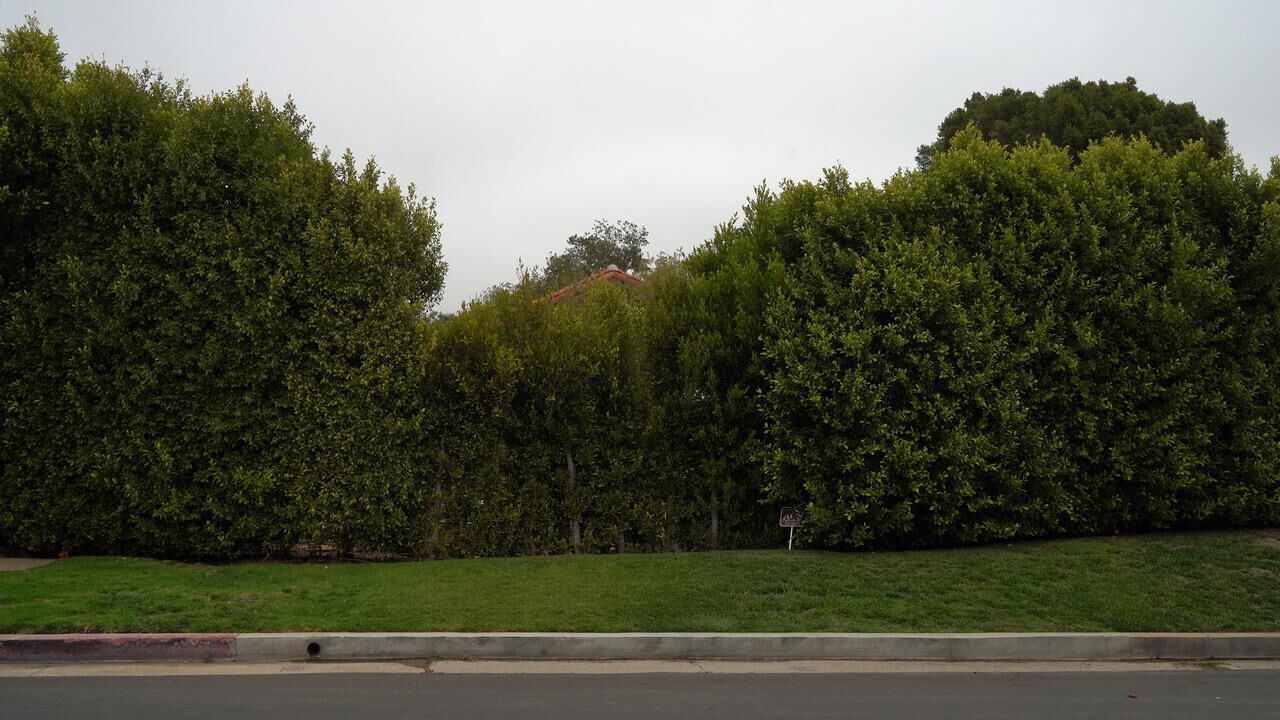 Galeriebild des Projekts The Afterthought of Life