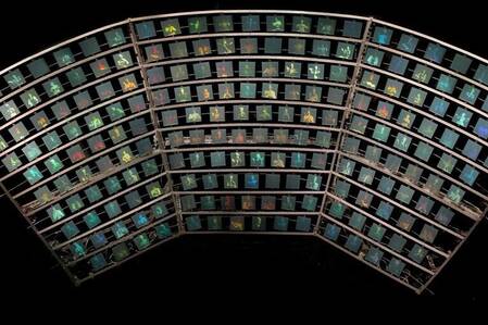 © Min-Sun Kim