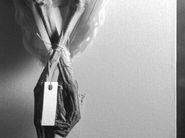 A Taste of Honey Galeriebild des Projekts A Taste of Honey