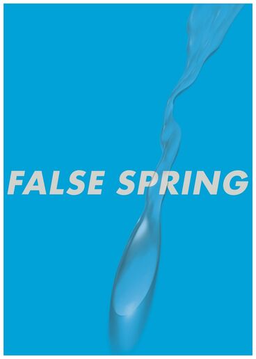 FALSE SPRING Titelbild des Projekts FALSE SPRING