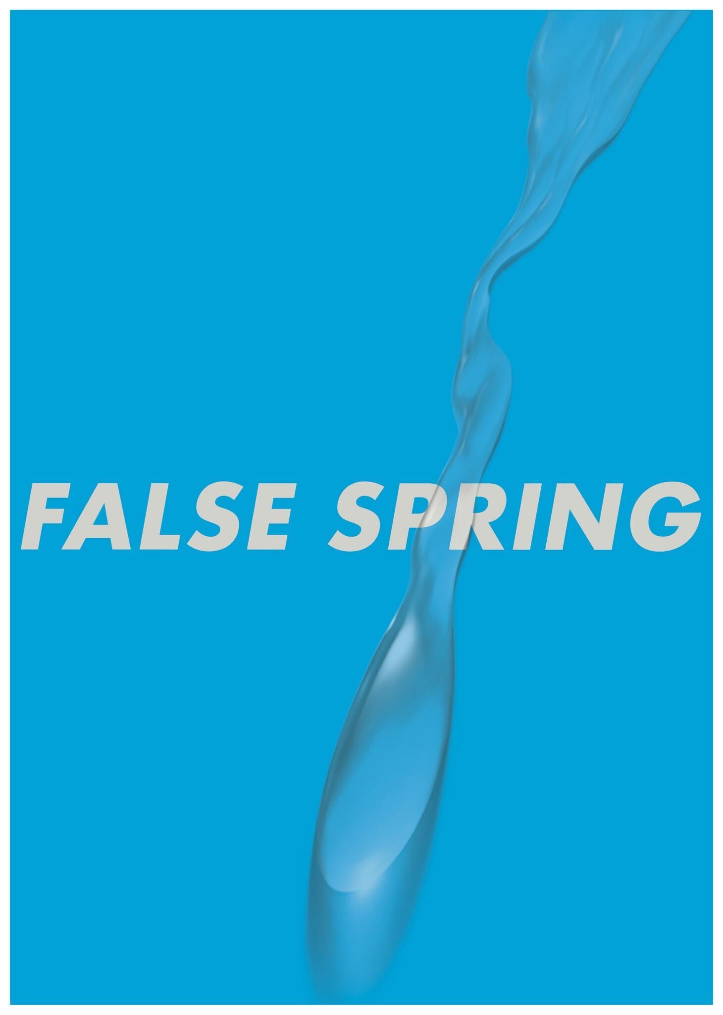 Titelbild des Projekts FALSE SPRING