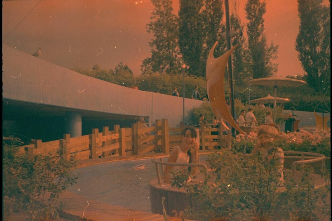 Galeriebild des Projekts Maybe Montreal