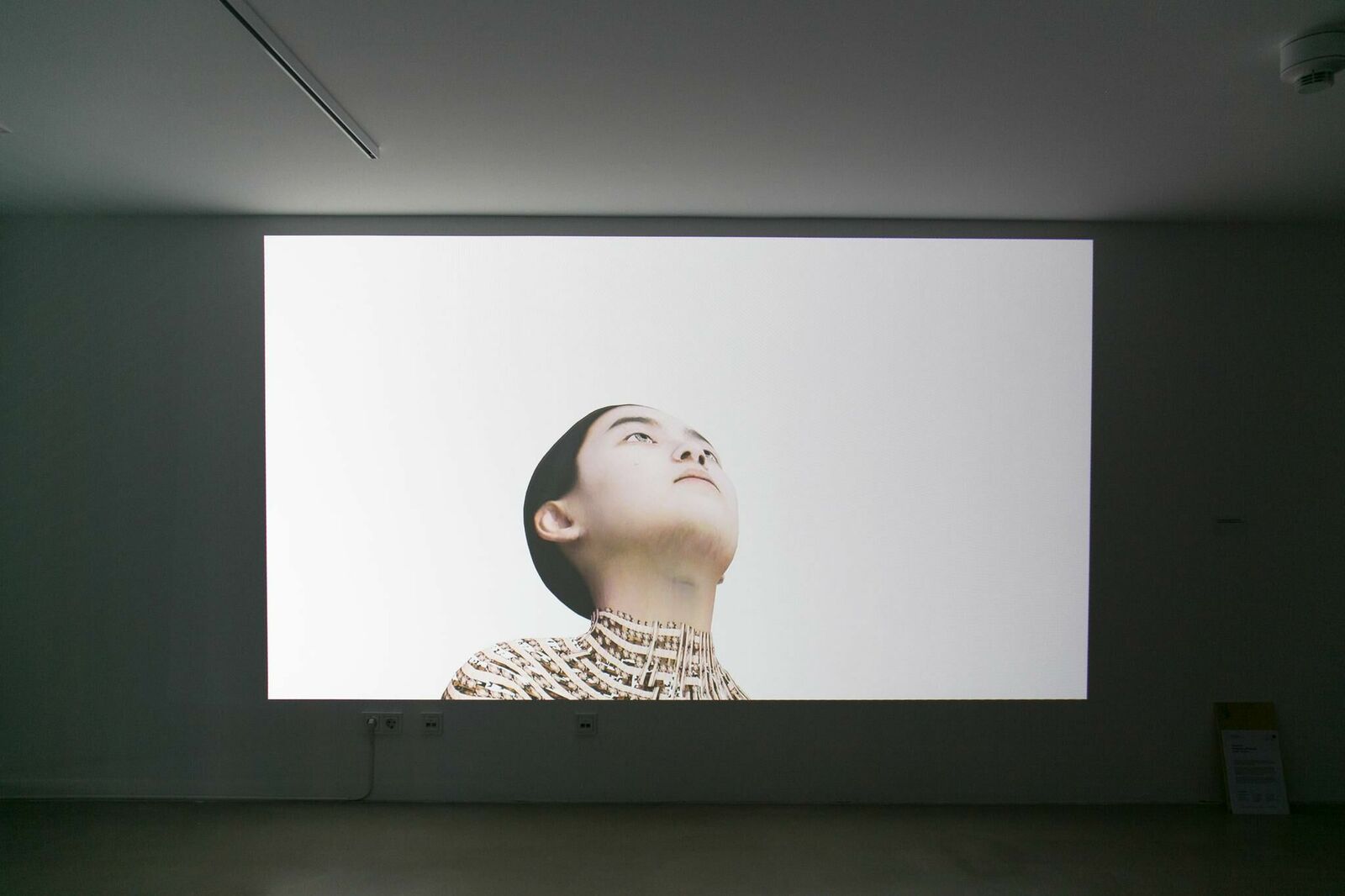 Titelbild des Projekts You bug me and I bug you