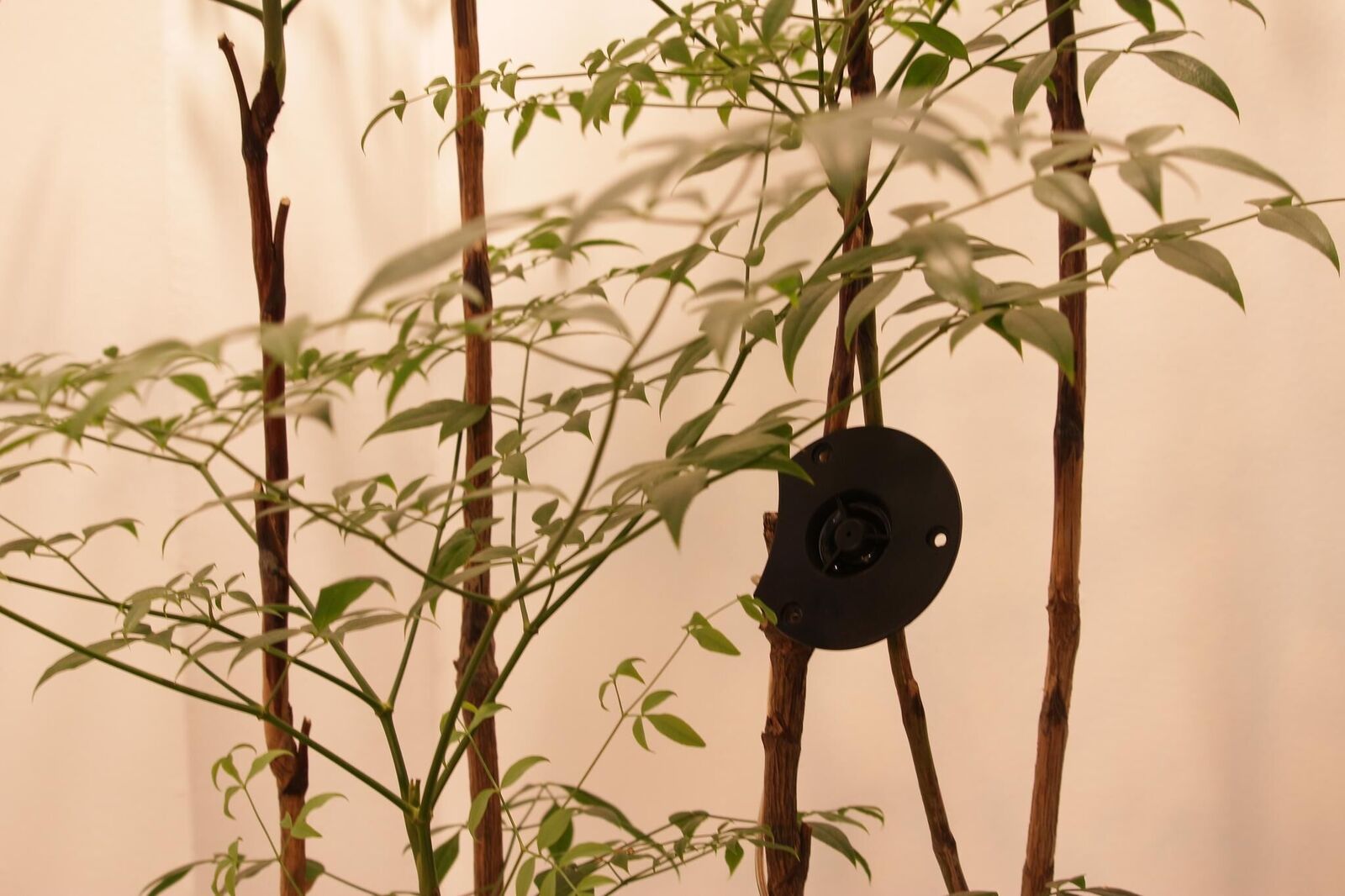 Galeriebild des Projekts Silent Emergency Call 