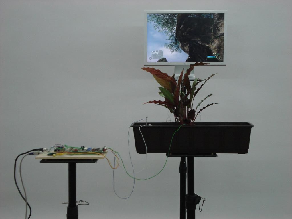 Titelbild des Projekts Sensobotanics