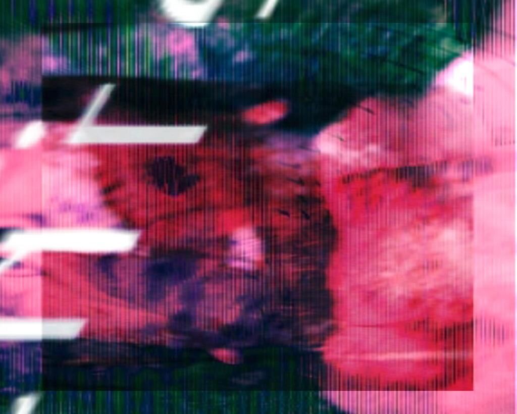 Galeriebild des Projekts Eine kurze Überfahrt