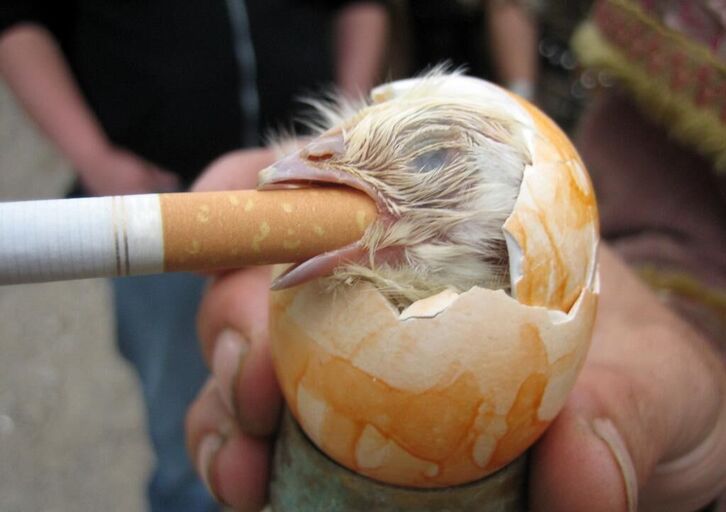 Titelbild des Projekts Einmal Hunne, immer Hunne