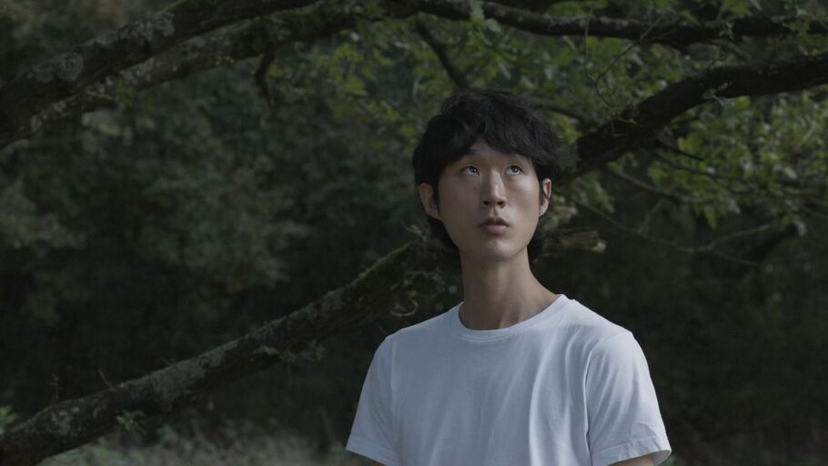 Titelbild des Projekts Warum ist nicht schon alles verschwunden