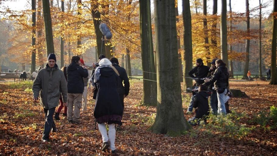 Titelbild des Projekts Alles wird Knut