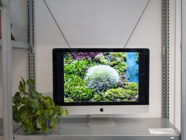 Multispecies Studio: TRANSform