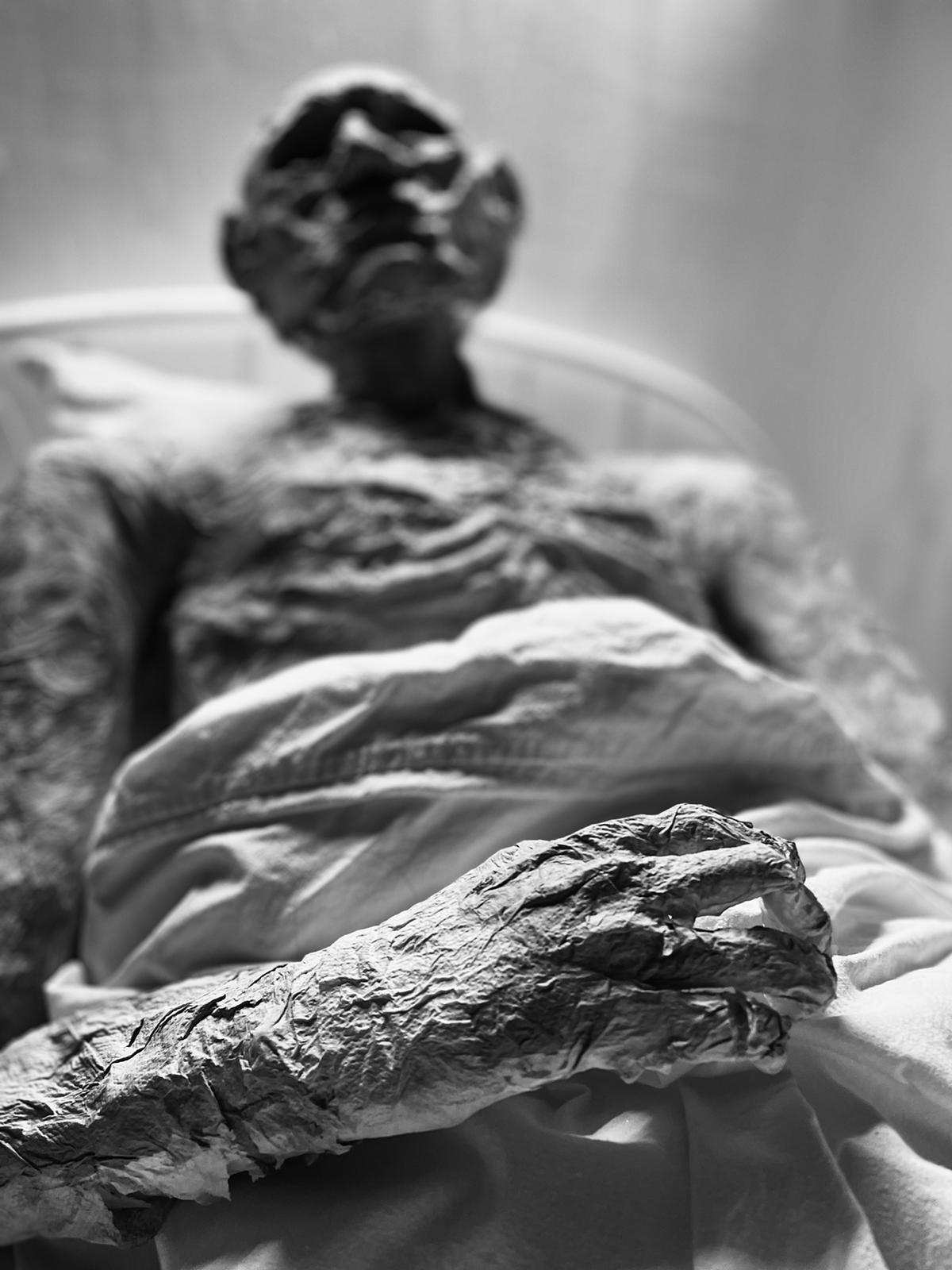 Galeriebild des Projekts ECHO