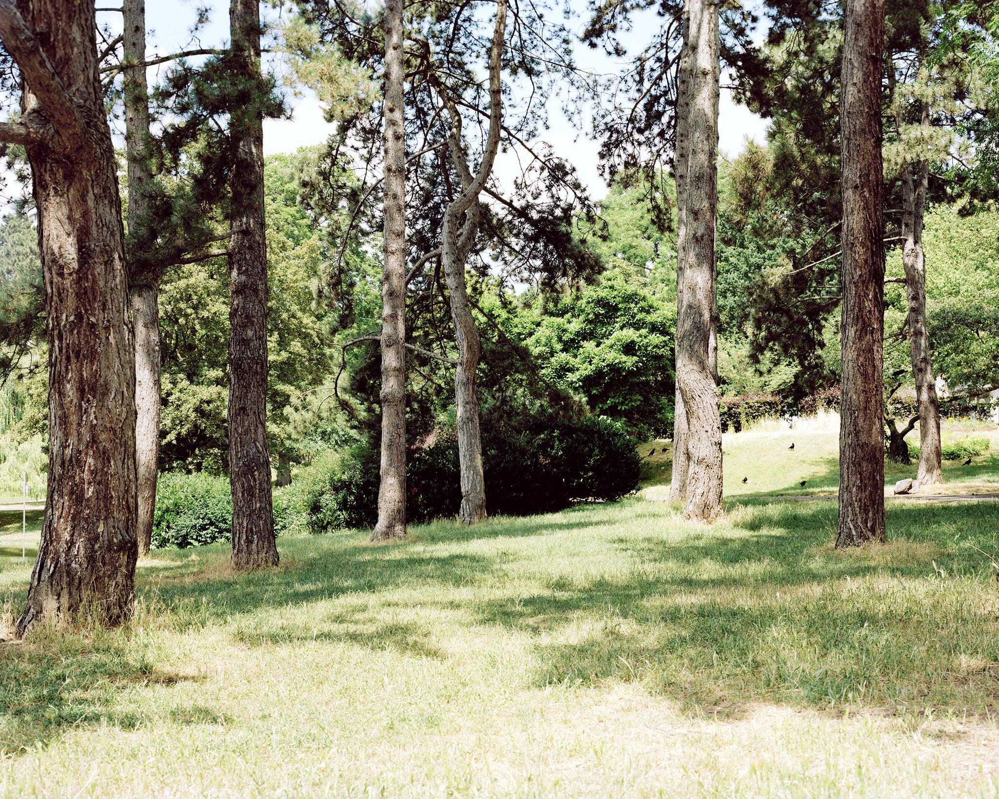 Titelbild des Projekts Songs of Sanity