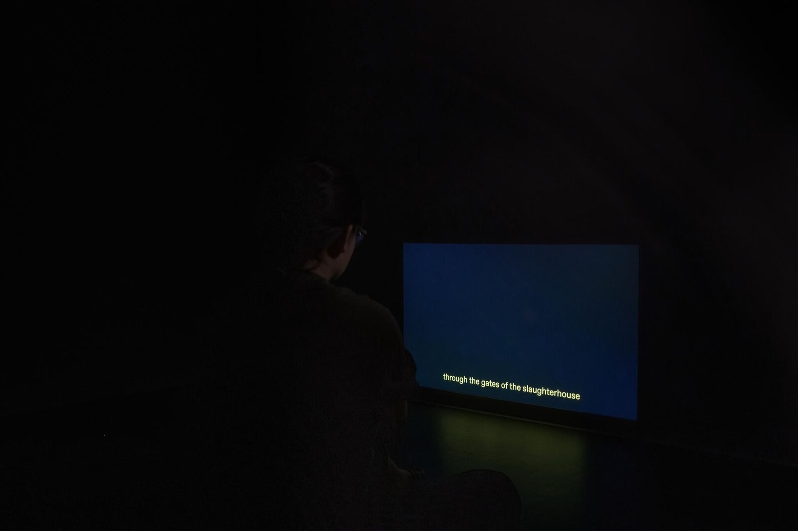 Galeriebild des Projekts Live Stock / Live Animals