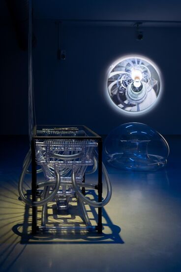 Galeriebild des Projekts Fixing the Rare : Breeder A