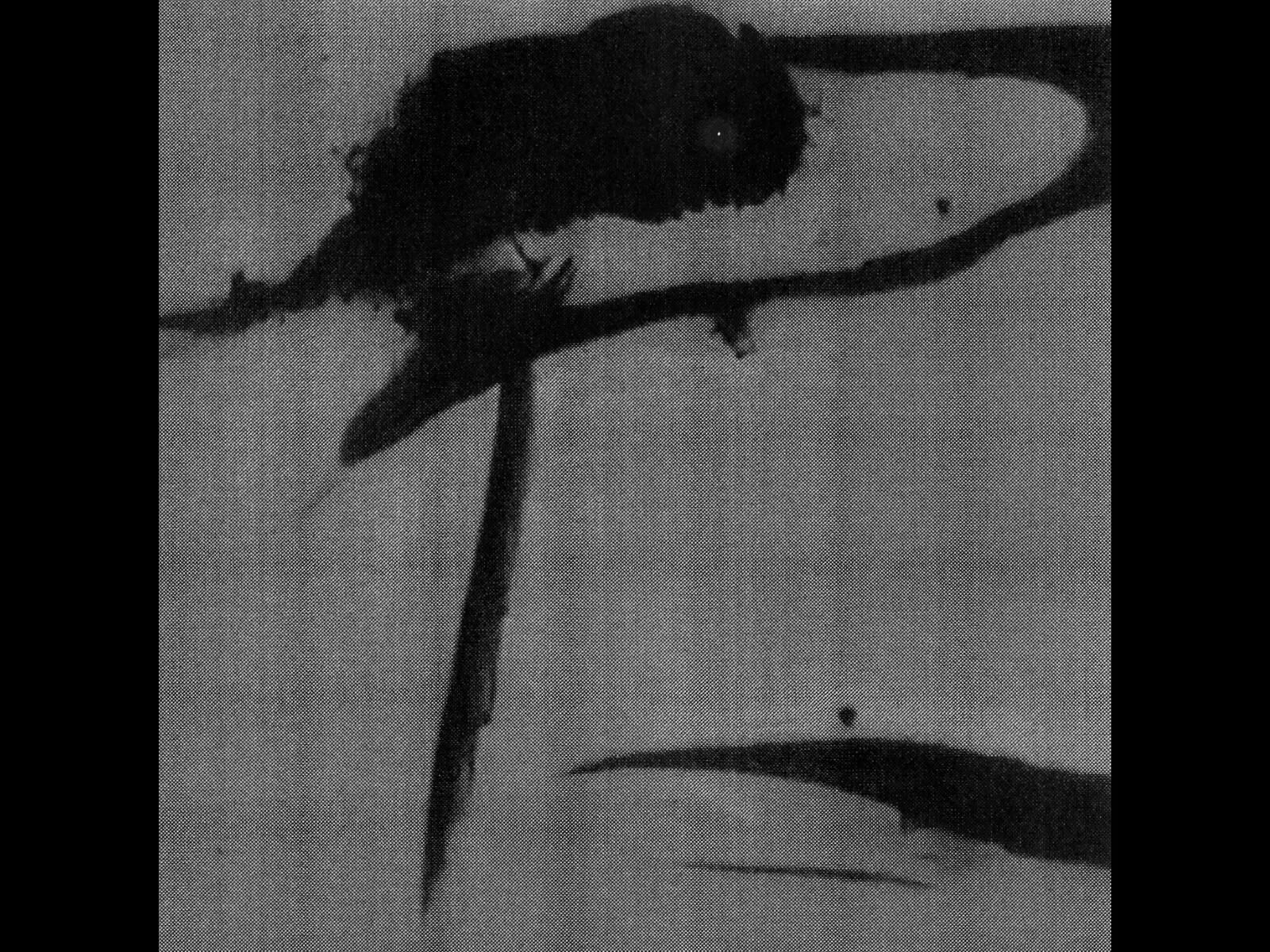 Galeriebild des Projekts The Stolen Moon 