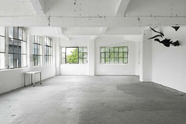 Dazzling White Titelbild des Projekts Dazzling White Imprints of Proximity
