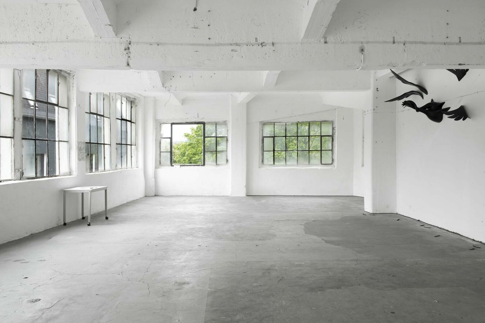 Titelbild des Projekts Dazzling White Imprints of Proximity