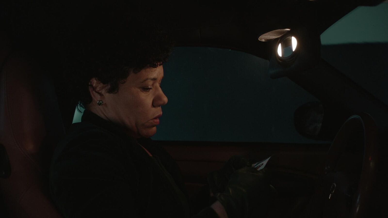 Galeriebild des Projekts Der Frau ein Wolf