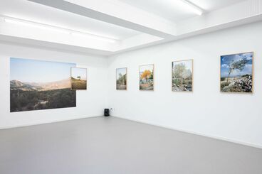 You don't look nothing alike Galeriebild des Projekts You don't look nothing alike