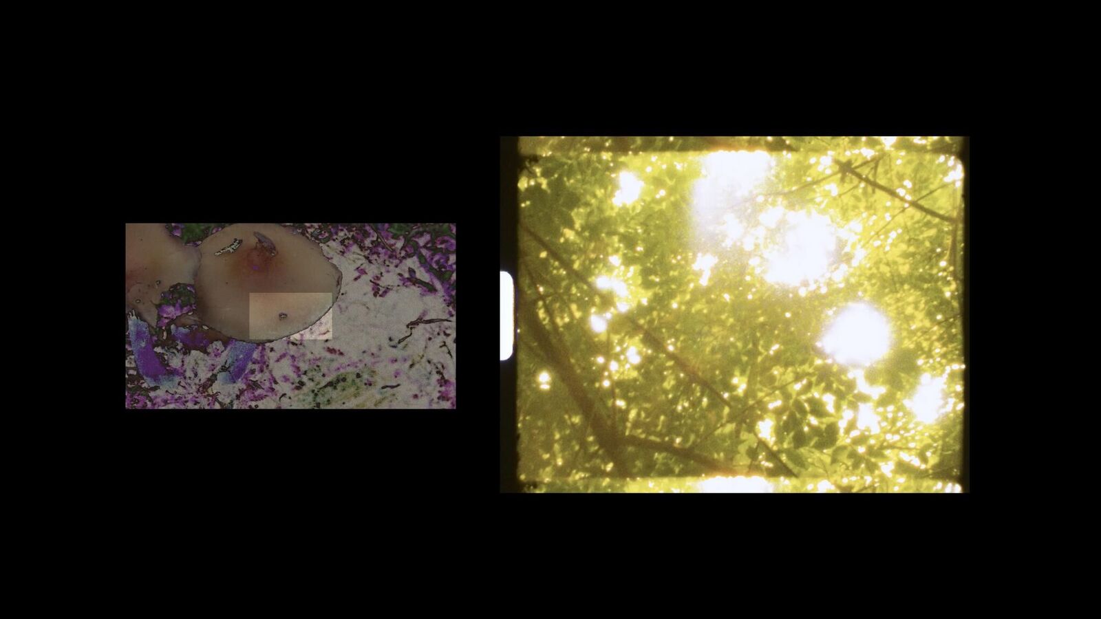 Galeriebild des Projekts An-Beten