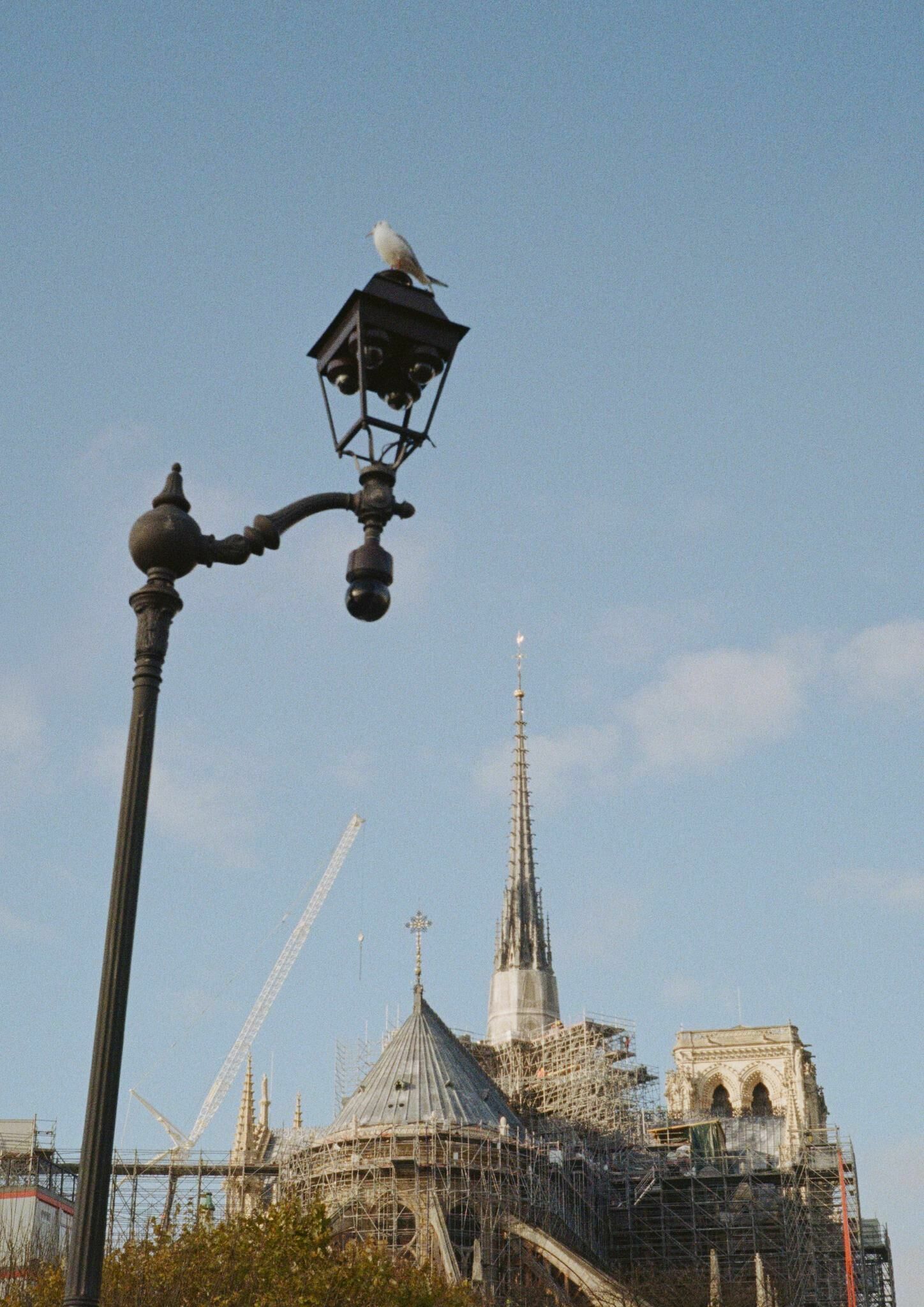 Titelbild des Projekts Dead Glitch – Higher, Faster, Stronger