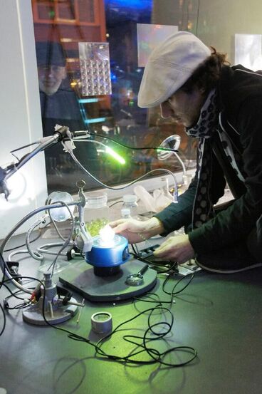 corpus apertus Galeriebild des Projekts corpus apertus