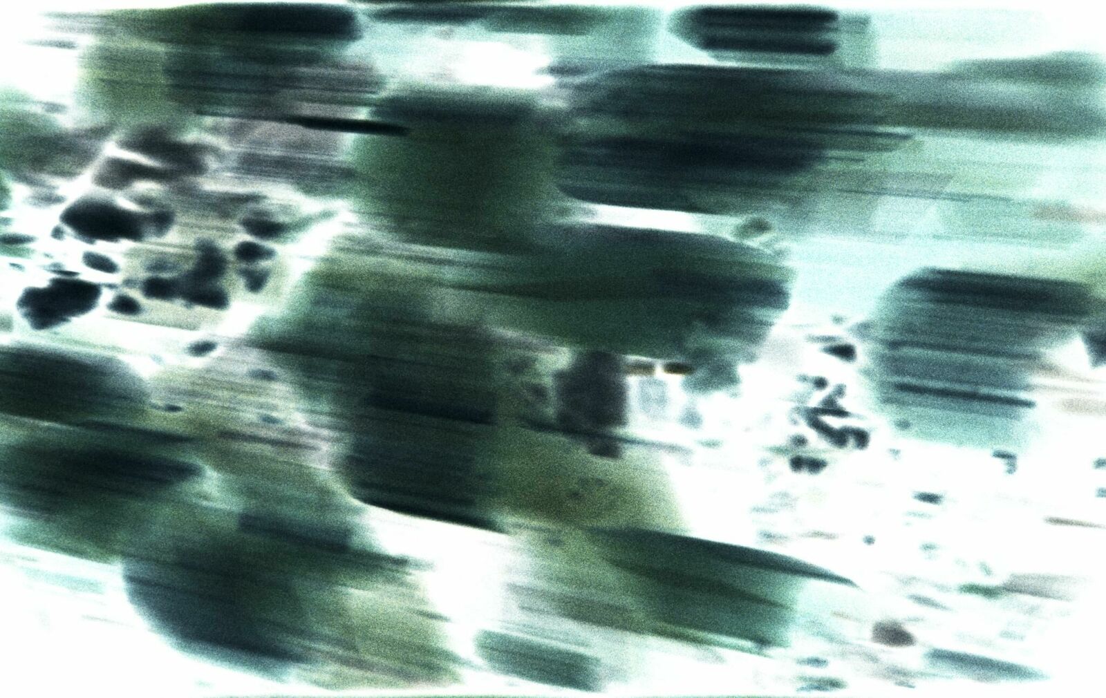 Titelbild des Projekts Wasting, Sinking, Dazzling, Floating